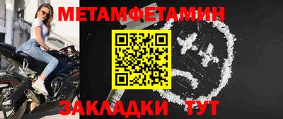 спайс Кингисепп