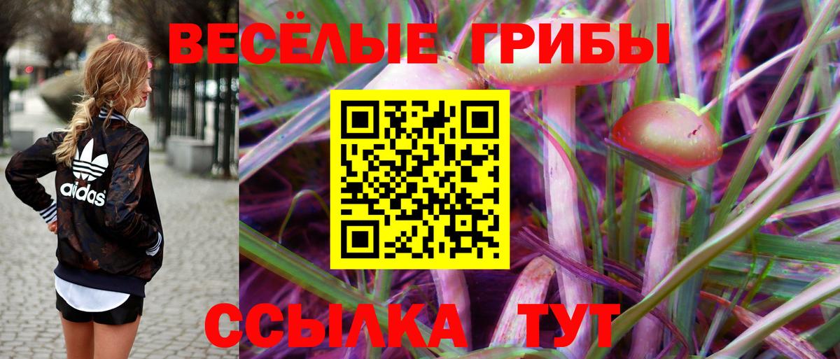 Ефремов  Псилоцибиновые грибы Magic Shrooms  Галлюциногенные грибы GOLDEN TEACHER  Вход с VPN 